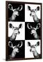 Safari Profile Collection - Antelopes Impalas Portraits-Philippe Hugonnard-Framed Photographic Print