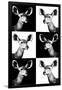 Safari Profile Collection - Antelopes Impalas Portraits-Philippe Hugonnard-Framed Photographic Print