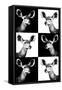 Safari Profile Collection - Antelopes Impalas Portraits-Philippe Hugonnard-Framed Stretched Canvas