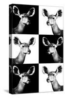 Safari Profile Collection - Antelopes Impalas Portraits-Philippe Hugonnard-Stretched Canvas