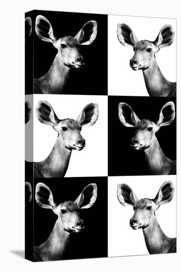 Safari Profile Collection - Antelopes Impalas Portraits-Philippe Hugonnard-Stretched Canvas