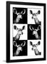 Safari Profile Collection - Antelopes Impalas Portraits-Philippe Hugonnard-Framed Photographic Print