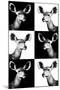 Safari Profile Collection - Antelopes Impalas Portraits-Philippe Hugonnard-Mounted Photographic Print