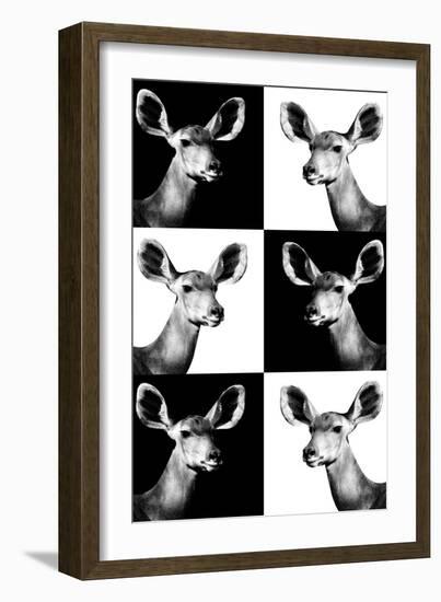 Safari Profile Collection - Antelopes Impalas Portraits-Philippe Hugonnard-Framed Photographic Print