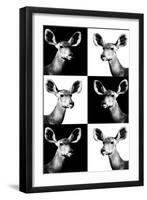 Safari Profile Collection - Antelopes Impalas Portraits-Philippe Hugonnard-Framed Photographic Print
