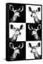 Safari Profile Collection - Antelopes Impalas Portraits-Philippe Hugonnard-Framed Stretched Canvas