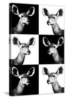 Safari Profile Collection - Antelopes Impalas Portraits-Philippe Hugonnard-Stretched Canvas