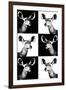 Safari Profile Collection - Antelopes Impalas Portraits-Philippe Hugonnard-Framed Photographic Print