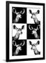 Safari Profile Collection - Antelopes Impalas Portraits-Philippe Hugonnard-Framed Photographic Print