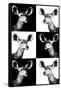 Safari Profile Collection - Antelopes Impalas Portraits-Philippe Hugonnard-Framed Stretched Canvas