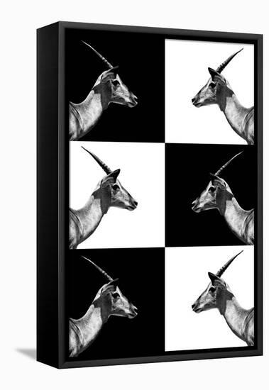 Safari Profile Collection - Antelopes Impalas-Philippe Hugonnard-Framed Stretched Canvas