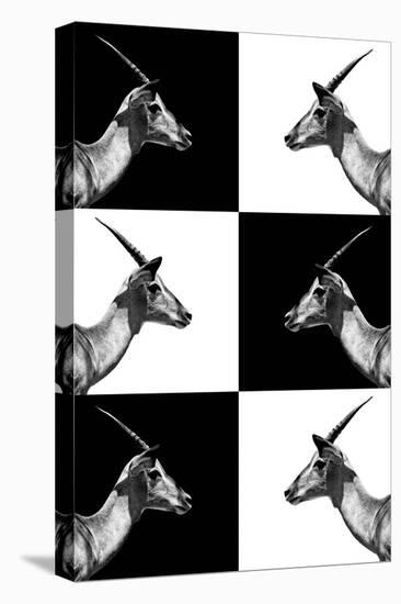 Safari Profile Collection - Antelopes Impalas-Philippe Hugonnard-Stretched Canvas