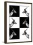 Safari Profile Collection - Antelopes Impalas-Philippe Hugonnard-Framed Photographic Print