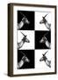 Safari Profile Collection - Antelopes Impalas-Philippe Hugonnard-Framed Photographic Print