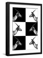 Safari Profile Collection - Antelopes Impalas-Philippe Hugonnard-Framed Photographic Print