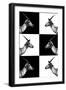 Safari Profile Collection - Antelopes Impalas-Philippe Hugonnard-Framed Photographic Print