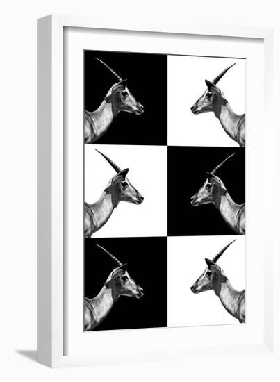 Safari Profile Collection - Antelopes Impalas-Philippe Hugonnard-Framed Photographic Print
