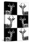 Safari Profile Collection - Antelopes-Philippe Hugonnard-Stretched Canvas