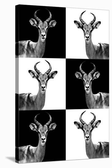 Safari Profile Collection - Antelopes-Philippe Hugonnard-Stretched Canvas