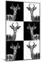 Safari Profile Collection - Antelopes-Philippe Hugonnard-Mounted Photographic Print