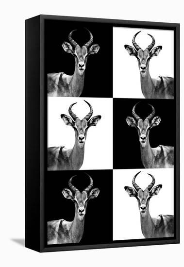 Safari Profile Collection - Antelopes-Philippe Hugonnard-Framed Stretched Canvas