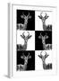 Safari Profile Collection - Antelopes-Philippe Hugonnard-Framed Photographic Print