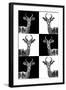 Safari Profile Collection - Antelopes-Philippe Hugonnard-Framed Photographic Print