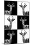 Safari Profile Collection - Antelopes-Philippe Hugonnard-Mounted Photographic Print