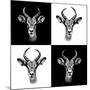 Safari Profile Collection - Antepoles Portraits II-Philippe Hugonnard-Mounted Photographic Print