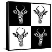 Safari Profile Collection - Antepoles Portraits II-Philippe Hugonnard-Framed Stretched Canvas