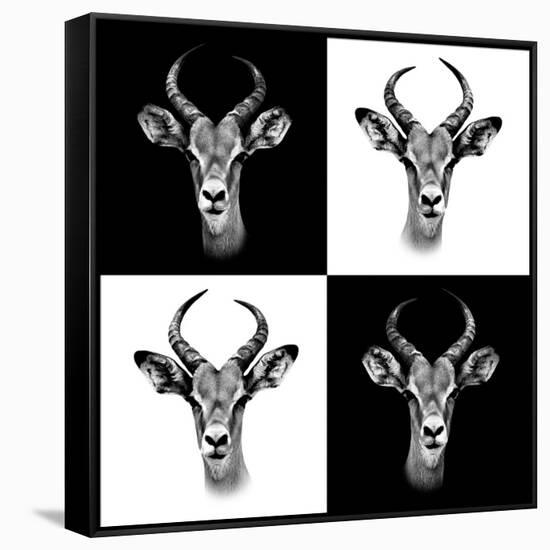 Safari Profile Collection - Antepoles Portraits II-Philippe Hugonnard-Framed Stretched Canvas