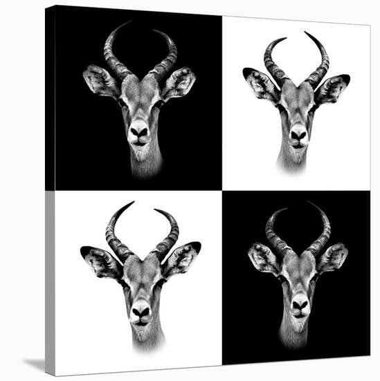 Safari Profile Collection - Antepoles Portraits II-Philippe Hugonnard-Stretched Canvas