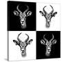 Safari Profile Collection - Antepoles Portraits II-Philippe Hugonnard-Stretched Canvas