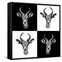 Safari Profile Collection - Antepoles Portraits II-Philippe Hugonnard-Framed Stretched Canvas
