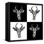 Safari Profile Collection - Antepoles Portraits II-Philippe Hugonnard-Framed Stretched Canvas
