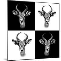 Safari Profile Collection - Antepoles Portraits II-Philippe Hugonnard-Mounted Photographic Print