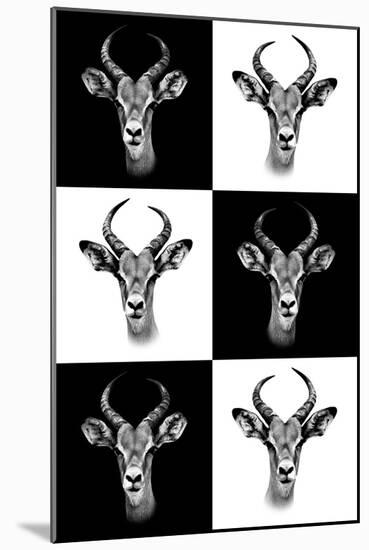 Safari Profile Collection - Antepoles Portraits-Philippe Hugonnard-Mounted Photographic Print