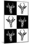 Safari Profile Collection - Antepoles Portraits-Philippe Hugonnard-Mounted Photographic Print