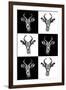 Safari Profile Collection - Antepoles Portraits-Philippe Hugonnard-Framed Photographic Print