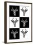 Safari Profile Collection - Antepoles Portraits-Philippe Hugonnard-Framed Photographic Print