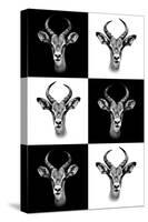 Safari Profile Collection - Antepoles Portraits-Philippe Hugonnard-Stretched Canvas