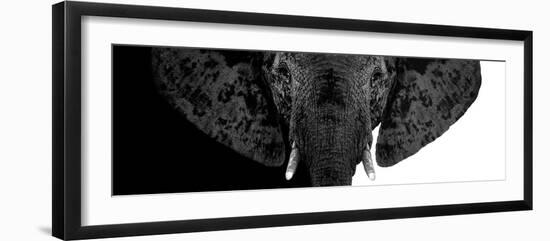 Safari Profile Collection - Elephant B&W II-Philippe Hugonnard-Framed Photographic Print