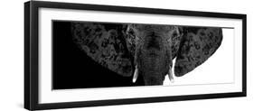 Safari Profile Collection - Elephant B&W II-Philippe Hugonnard-Framed Photographic Print