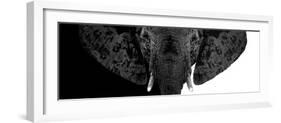 Safari Profile Collection - Elephant B&W II-Philippe Hugonnard-Framed Photographic Print