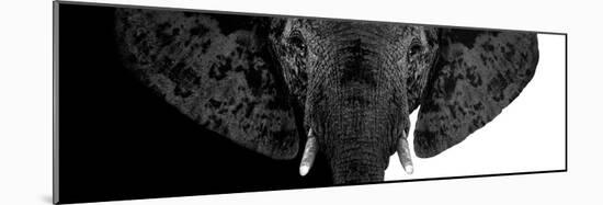 Safari Profile Collection - Elephant B&W II-Philippe Hugonnard-Mounted Photographic Print