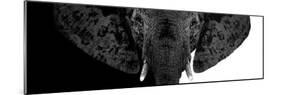 Safari Profile Collection - Elephant B&W II-Philippe Hugonnard-Mounted Photographic Print
