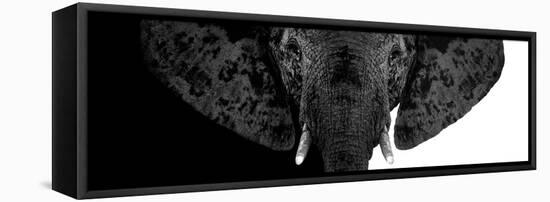 Safari Profile Collection - Elephant B&W II-Philippe Hugonnard-Framed Stretched Canvas