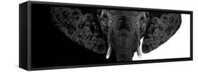 Safari Profile Collection - Elephant B&W II-Philippe Hugonnard-Framed Stretched Canvas