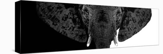 Safari Profile Collection - Elephant B&W II-Philippe Hugonnard-Stretched Canvas