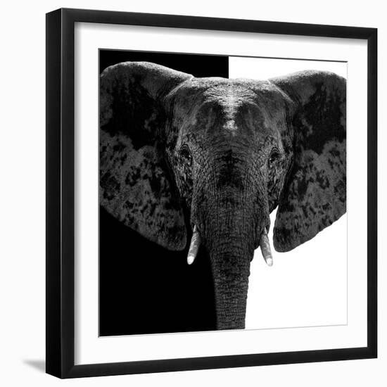 Safari Profile Collection - Elephant B&W IV-Philippe Hugonnard-Framed Photographic Print